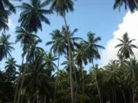 La Digue island